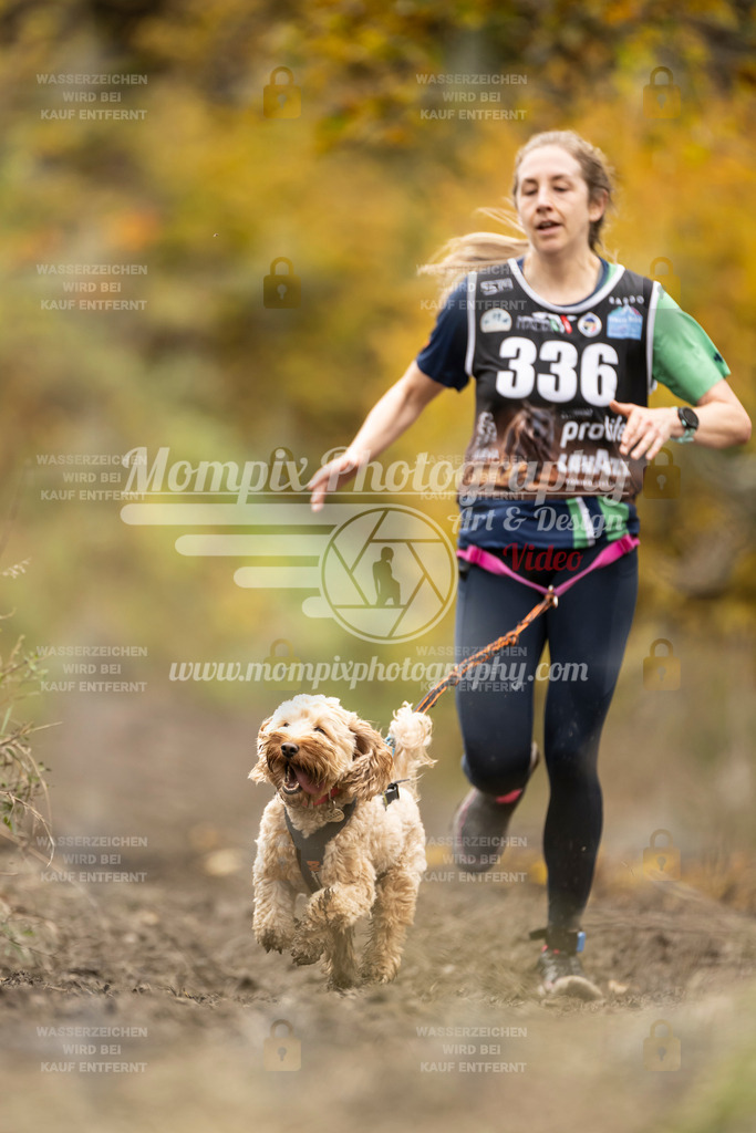 MompixPhotography_ICF_WC_2024_SA_Run_-243 | PayLife