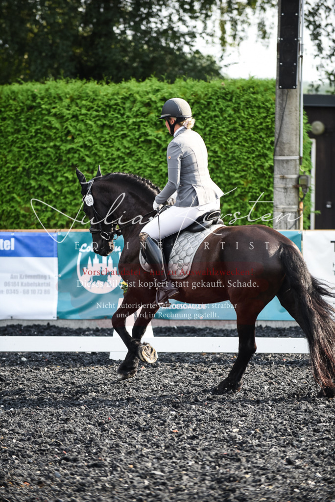 DSC_3315 | Pferde- und Turnierfotografie in Westsachsen. Pferdeportraits, Auftragszeichnungen und intuitive Kunst.