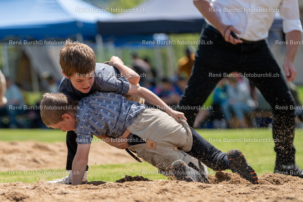 RB-07226 | René Burch leidenschaftlicher Fotograf aus Kerns in Obwalden.  Hier finden sie Sport, Landschaft und Natur Fotografie.
 - Realisiert mit Pictrs.com