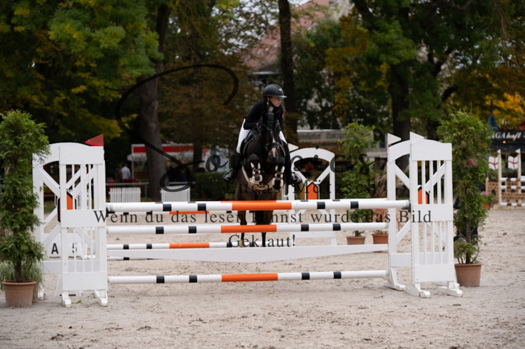 A7V09070 | Pferdefotograf