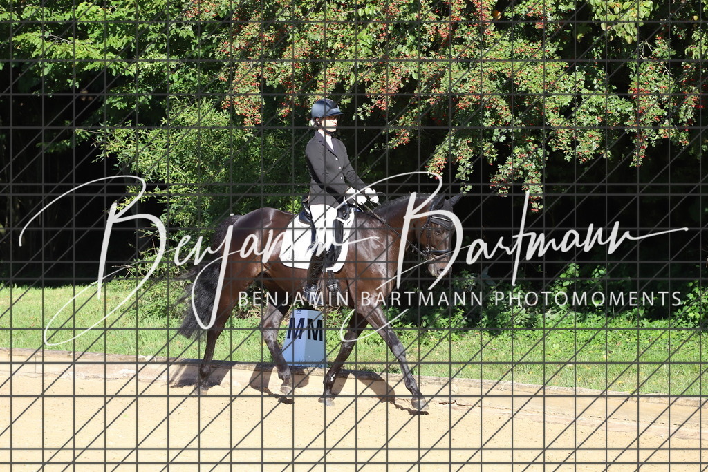 IMG_5061 | Benjamin Bartmann Photomoments