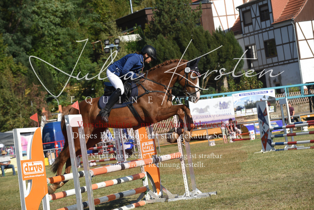 DSC_5332 | Pferde- und Turnierfotografie in Westsachsen. Pferdeportraits, Auftragszeichnungen und intuitive Kunst.