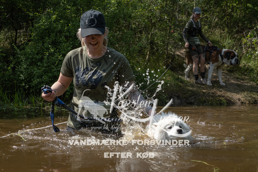 1515DKK990877 | kk-dogfotos