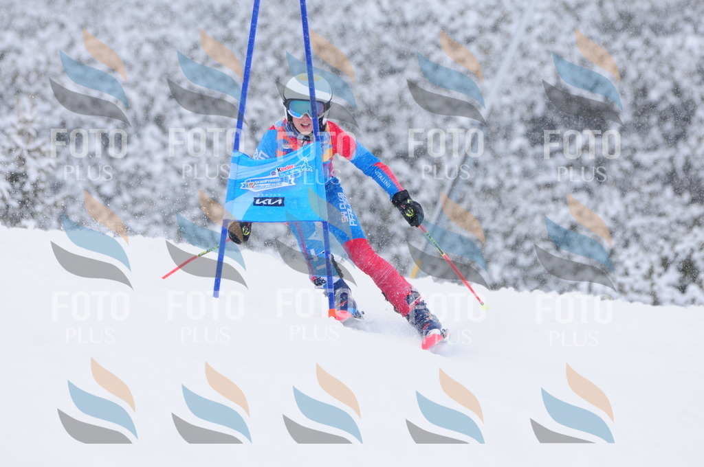 C4053 | holidayphoto