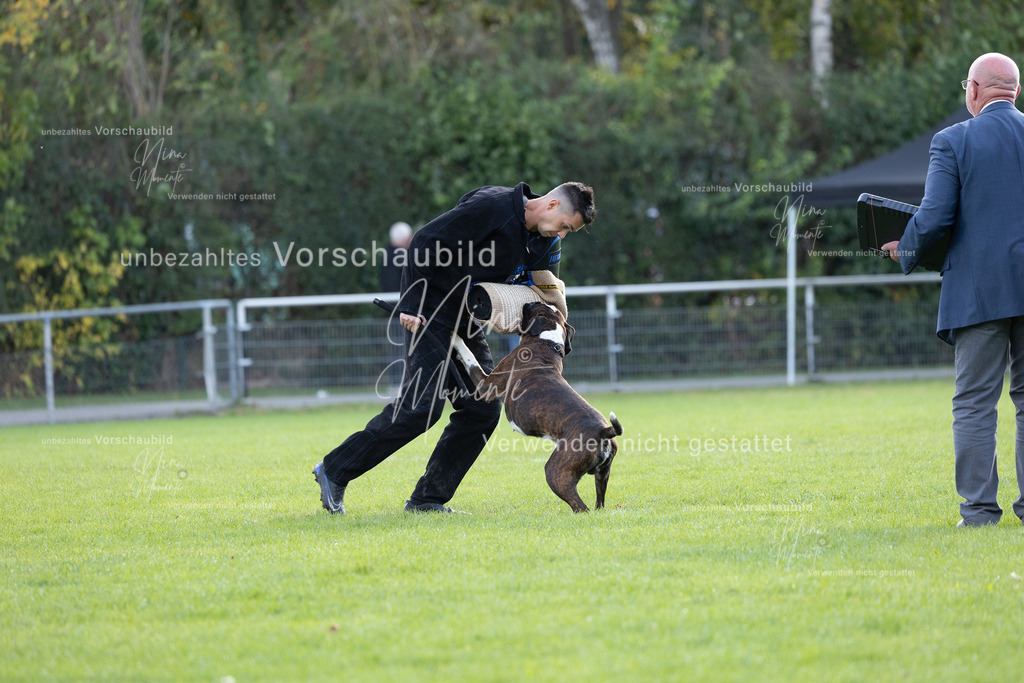 _16A6505 | Einzigartige Fotos von Hunden & Menschen –Actionfotos, Portraits, Vereinsaufnahmen & Paarshootings – authentisch, lebendig & mit Herz.