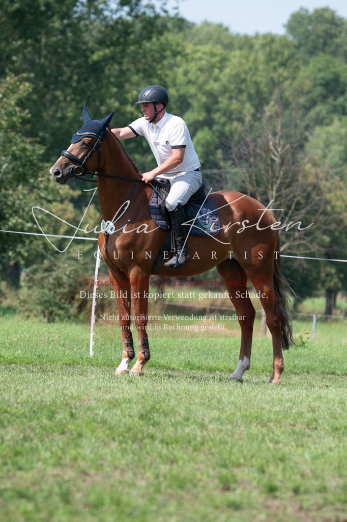 DSC_0622 | Pferde- und Turnierfotografie in Westsachsen. Pferdeportraits, Auftragszeichnungen und intuitive Kunst.