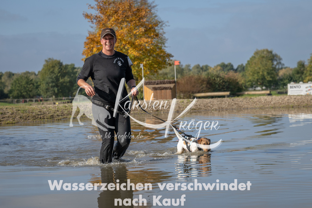 1112_ZZ91865 | kk-dogfotos