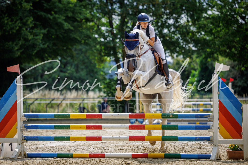20260705-_3LI4604 | Tierfotografie Pferde, Hunde, Katzen, Haustiere.
Turnierfotografie Reitturniere, Reiten, Springreiten, Dressur in Hanau, dem Main-Kinzig-Kreis und dem Rhein-Main- Gebiet um Frankfurt
