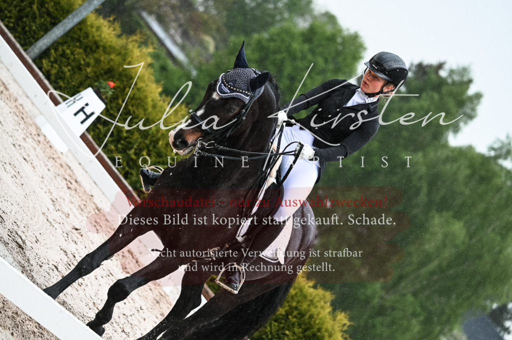 DSC_4506 | Pferde- und Turnierfotografie in Westsachsen. Pferdeportraits, Auftragszeichnungen und intuitive Kunst.