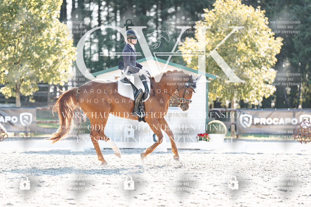 CK906896 | Turnierfotografie Pferdefotografie Trier Rheinland-Pfalz Pferdesport Reitsport Tierfotografie Sportfotografie Pferdevideo Pferdevideografie Equestrianvideography equestrianphotography  - Realisiert mit Pictrs.com