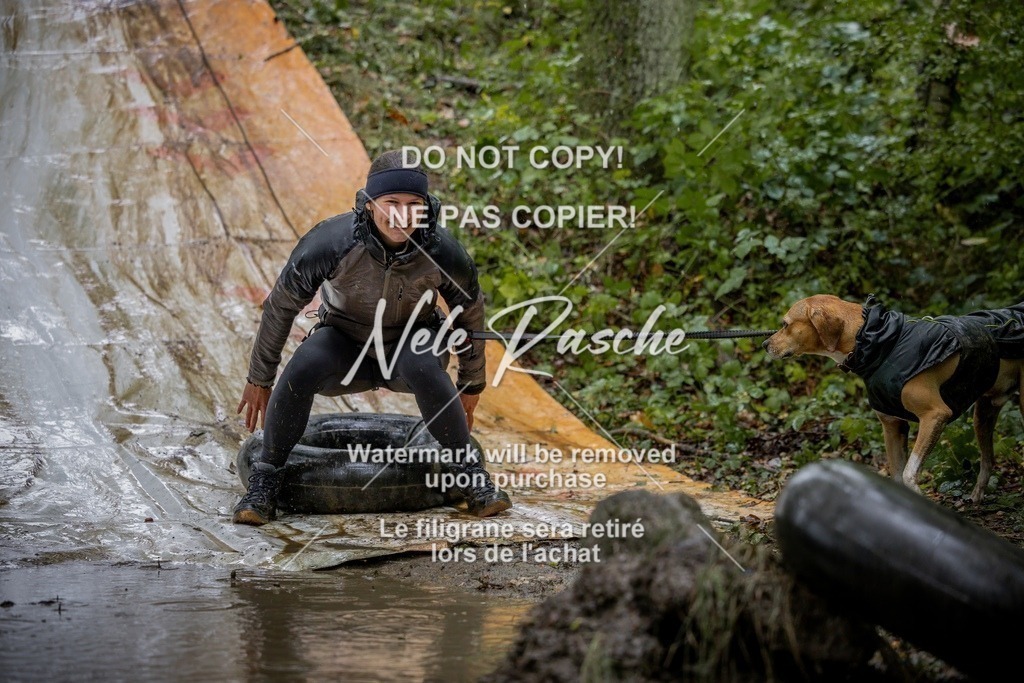 nelerasche_Hunsrück_Sa1400-1430_99-final | nelerasche