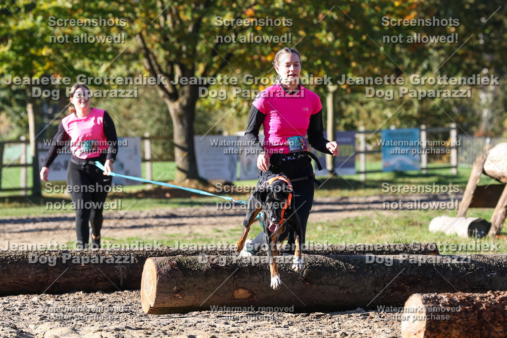 Dog Paparazzi - Strongdog 10-25-1820 | Dog Paparazzi Jeanette Grottendiek Fotografie & Videografie - Realisiert mit Pictrs.com