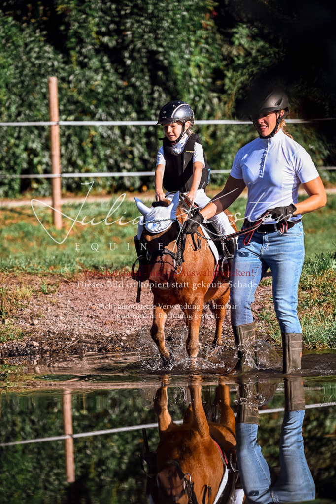 DSC_0482 | Pferde- und Turnierfotografie in Westsachsen. Pferdeportraits, Auftragszeichnungen und intuitive Kunst.