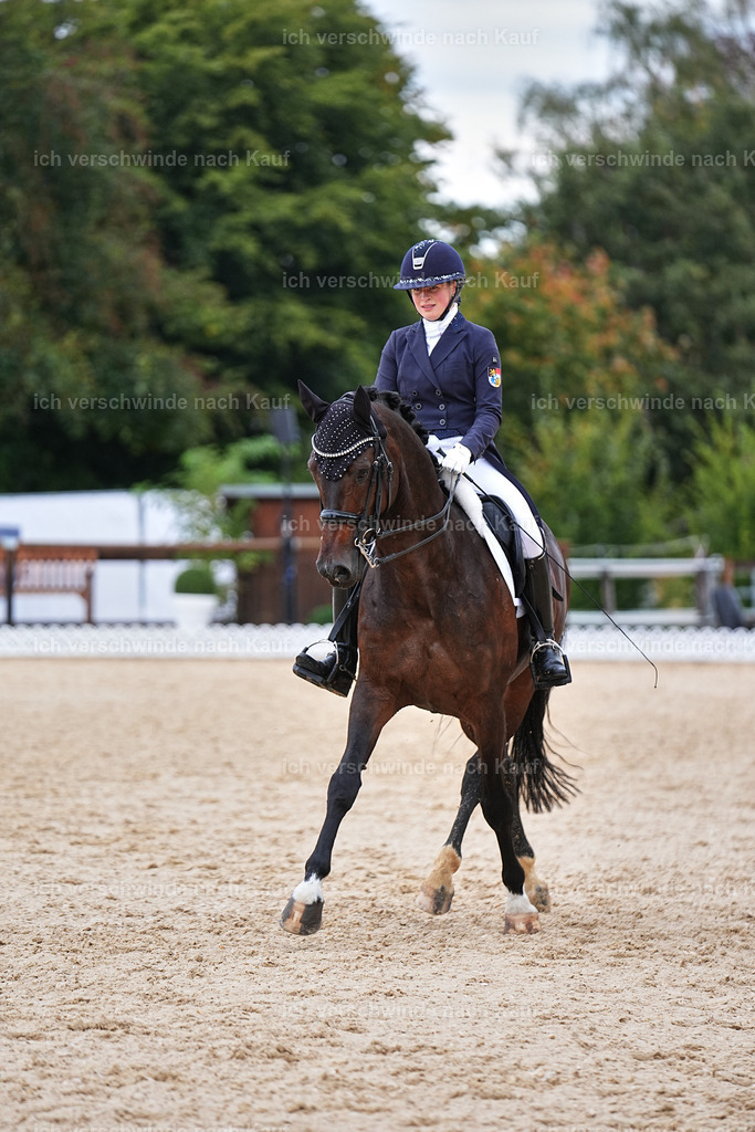 8_2-056-DRESSUR S_  -Marixx-4595 | working equitationturnier fotograf videograf stoibphotography marixx film working equitation deutschland reitsport turnierfotografie eventfotografie equestrian events