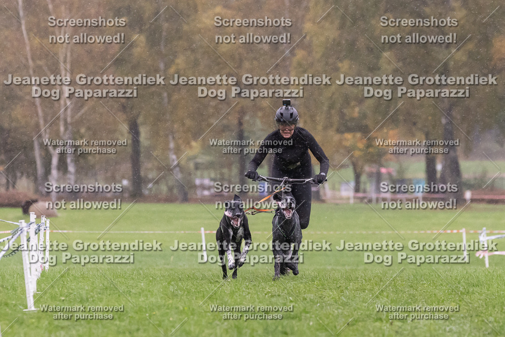 Dog Paparazzi - SD CaniX Championship 2025-875 | Dog Paparazzi Jeanette Grottendiek Fotografie & Videografie - Realisiert mit Pictrs.com