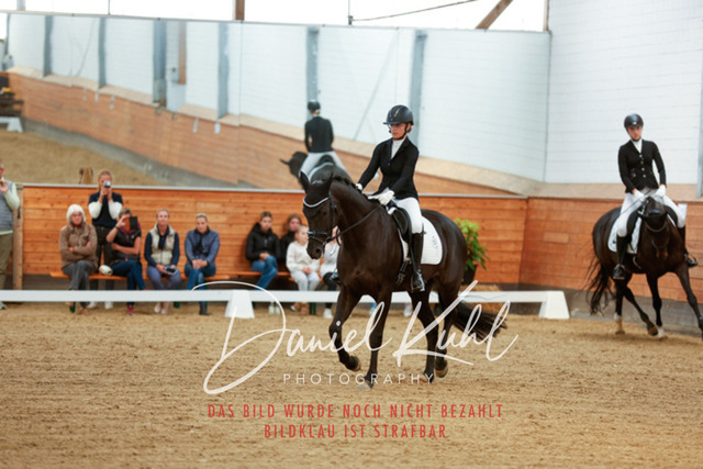 _62_5265 | Turniersportfotografie; Pferdefotografie; Dressurfotografie