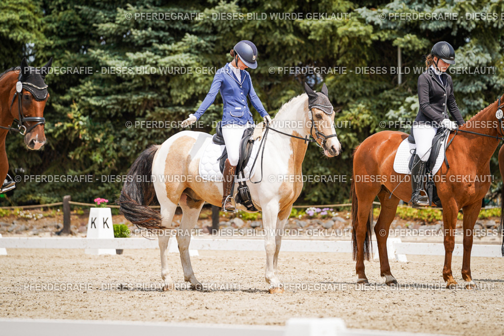 DSC03602 | Pferdegrafie