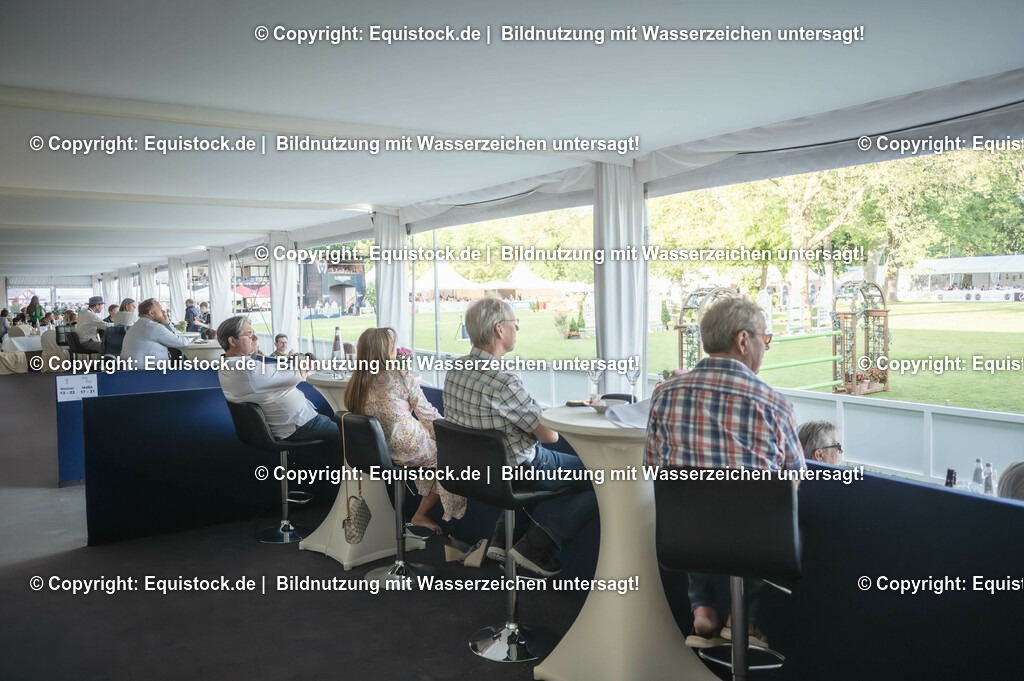 DSC_8700-Verbessert-RR | equistock