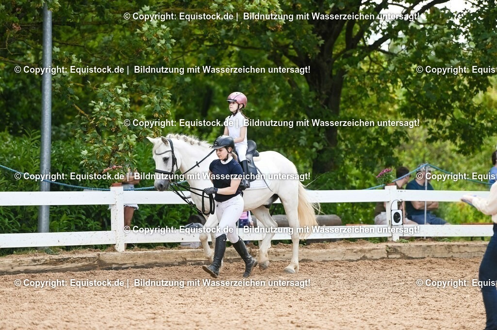 20230716_11_Führzügel-WB_0149 | equistock