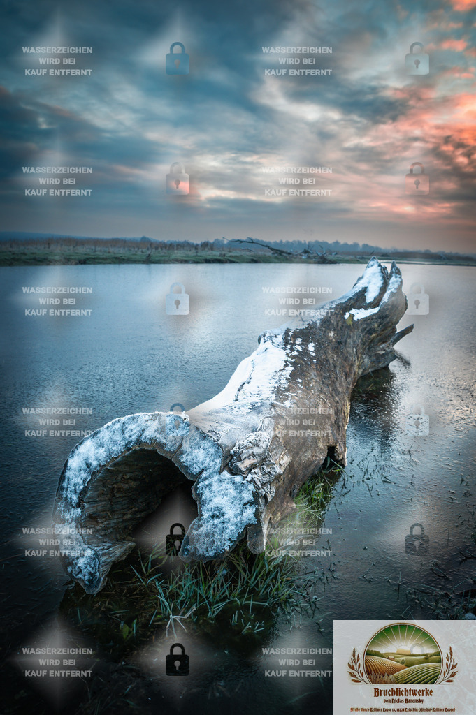 Froststammbruch | Landschaftsfotografie aus dem Oderbruch: Fine-Art-Prints im Shop, Fotoworkshops und ausgewählte Hochzeiten in Märkisch-Oderland & Oder-Spree.
