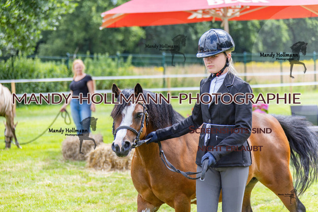 IG WELSH M 2024-65 | mandyhollmannphotographie