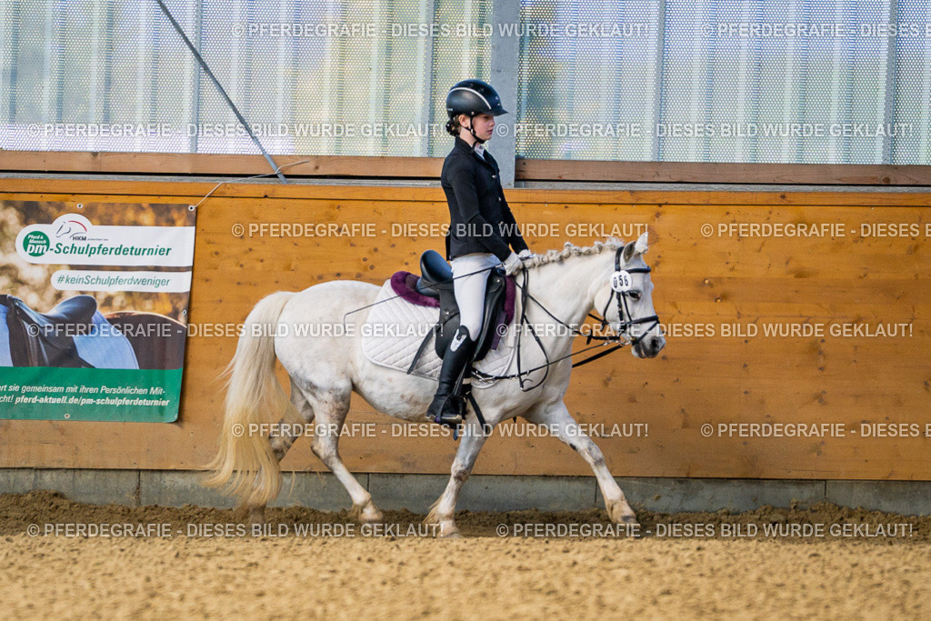 DSC02433 | Pferdegrafie