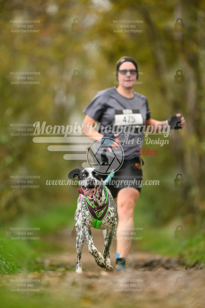 MompixPhotography_20TSB_E6_Run-182 | PayLife