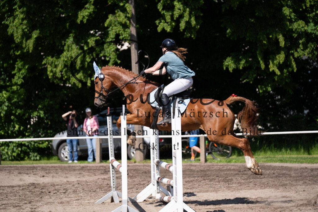 A7V03409 | Pferdefotograf