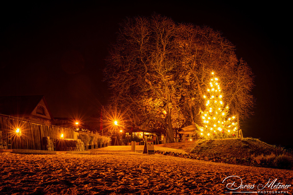 Der Weihnachtsbaum in Mainz-Kastel | Der Weihnachtsbaum in Mainz-Kastel