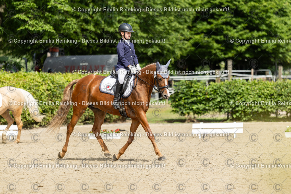 CL5A1253 | Emilia Reinking Fotografie - Realisiert mit Pictrs.com