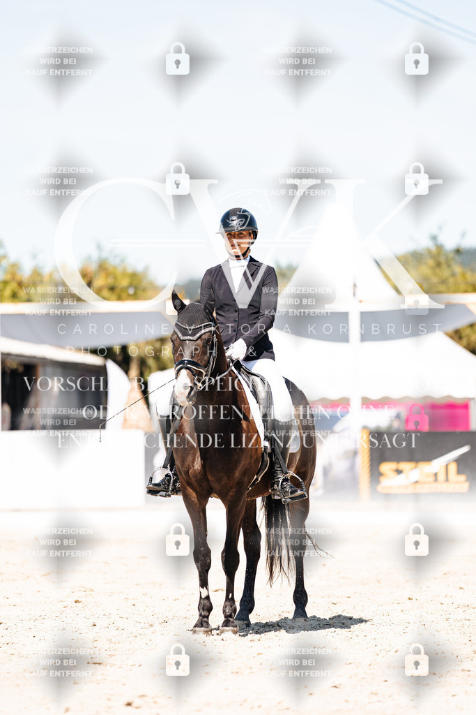 CK909584 | Turnierfotografie Pferdefotografie Trier Rheinland-Pfalz Pferdesport Reitsport Tierfotografie Sportfotografie Pferdevideo Pferdevideografie Equestrianvideography equestrianphotography  - Realisiert mit Pictrs.com