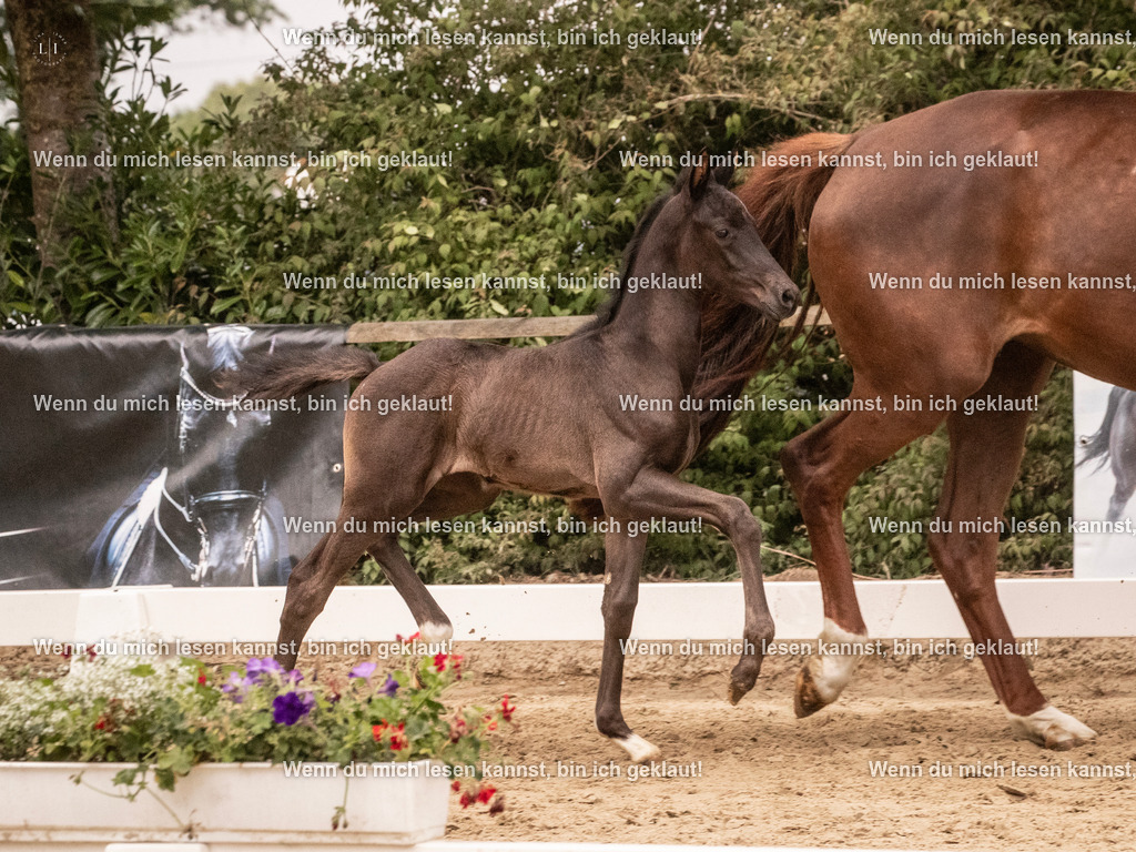 A10I5019 | photographylinaismer - Realisiert mit Pictrs.com