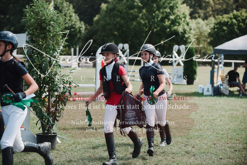 DSC_5922 | Pferde- und Turnierfotografie in Westsachsen. Pferdeportraits, Auftragszeichnungen und intuitive Kunst.