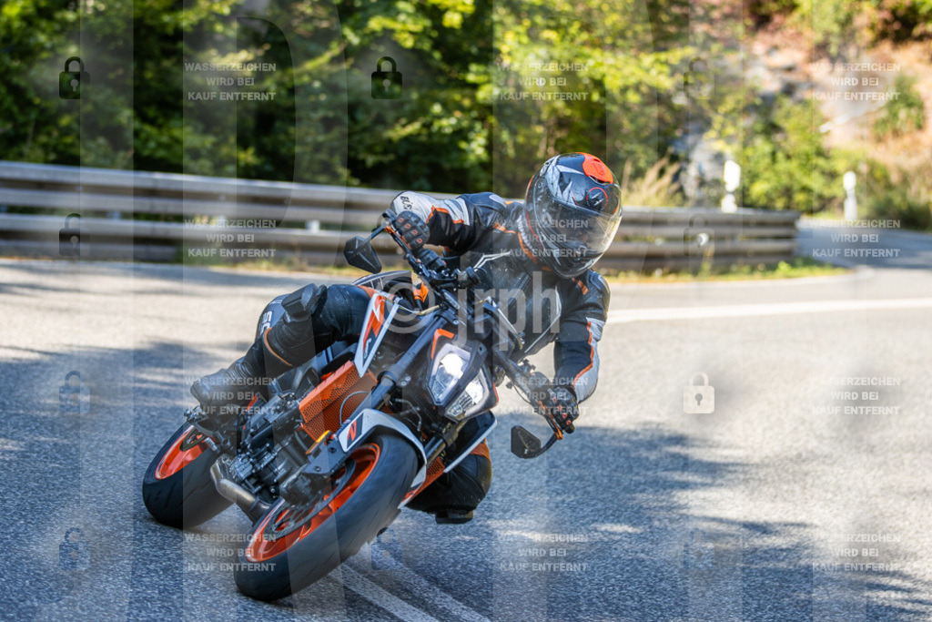 IMG_2954 | jrph - Realisiert mit Pictrs.com