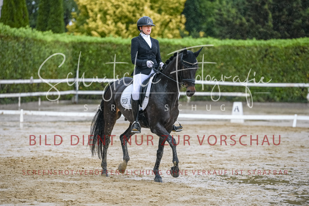 Schugtsche-Aluta25-55.Dressurreiterprf.L1Tr-300 | Schugtsche Fotografie - Realisiert mit Pictrs.com