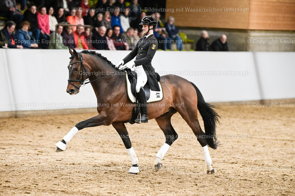 20260307_Hengstvorstellung-Marbach_0389 | equistock