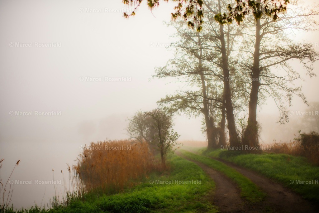 _DSC3189 (1) | foto-rosenfeld