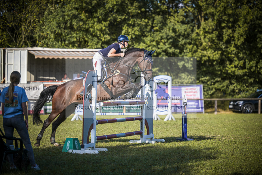 DOS_0499 | Entdecke hochwertige Reitturnierfotos von Foto Oger. Professionell, emotional und authentisch – jetzt Lieblingsmomente im Shop bestellen.Deutschlandweite Turnierfotografie. - Realisiert mit Pictrs.com