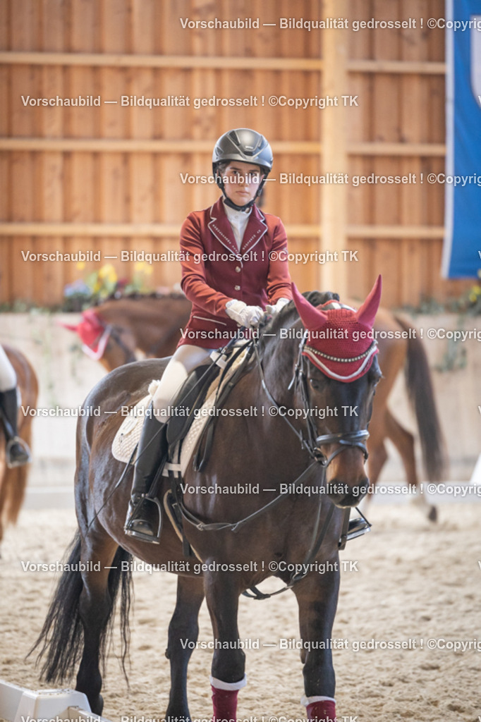 _D5A5493 | Emotionale Pferde- & People-Fotografie rund um Heidelberg, Leimen & Umgebung. Natürliche Fotos von Pferd, Mensch & Familie. Jetzt Termin sichern!