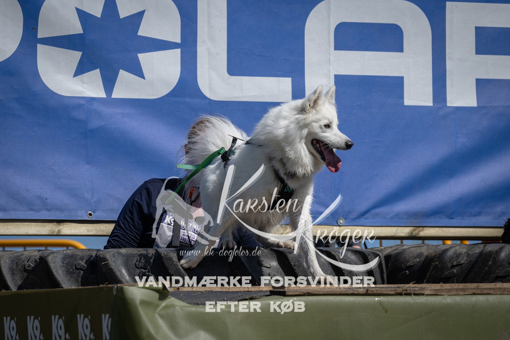 1202_ZZ93394 | kk-dogfotos