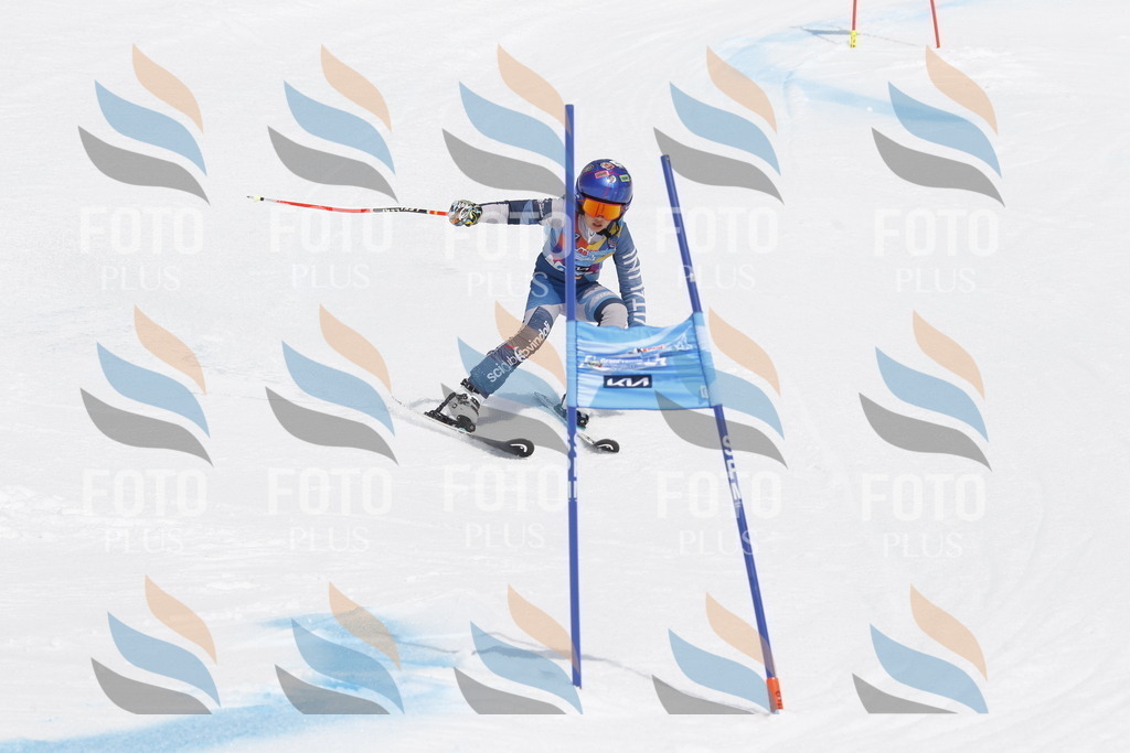 _U3G2388 | holidayphoto