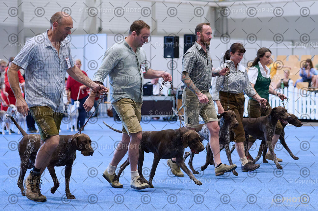 202406_ÖKV-IHA-Tulln24_DSC_3764 | proPHOTO - Realisiert mit Pictrs.com