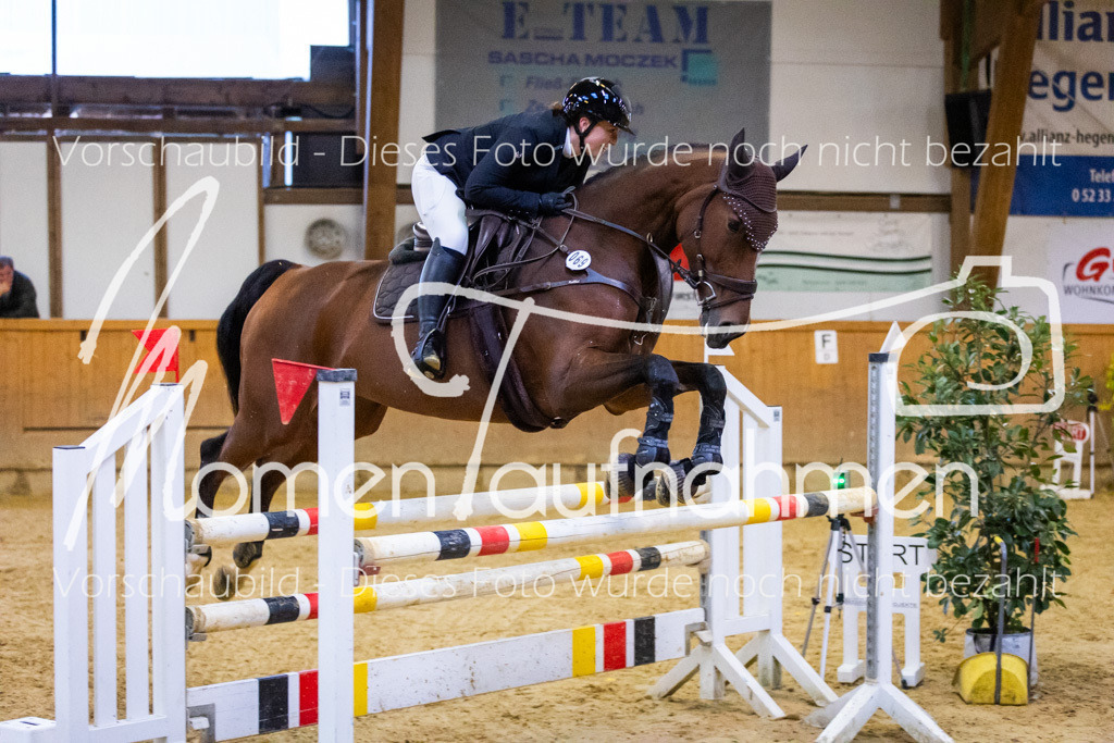 Sth-L-Springen-066 | MomenTaufnahmen Pferdesportfotos