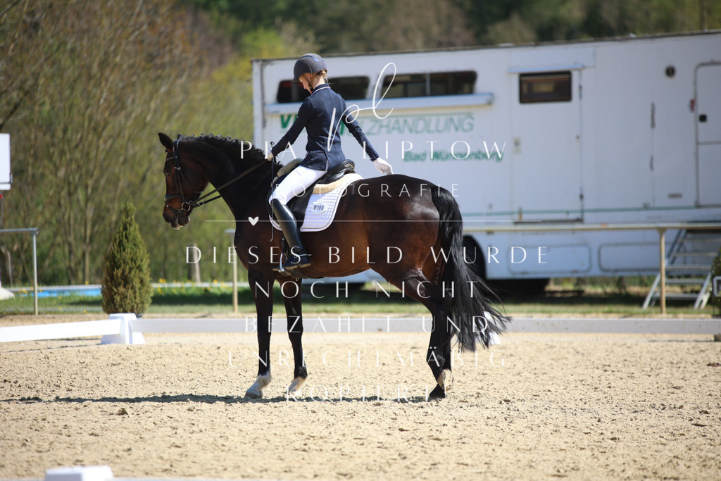 IMGT7642 | pl-fotografie