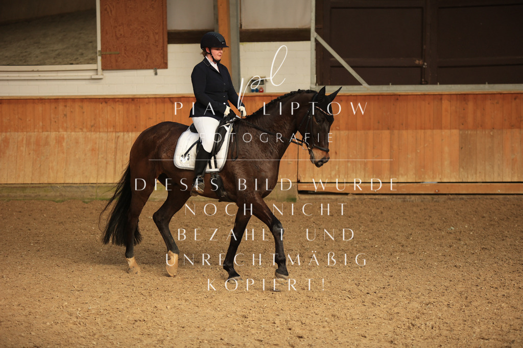 IMGT4959 | pl-fotografie