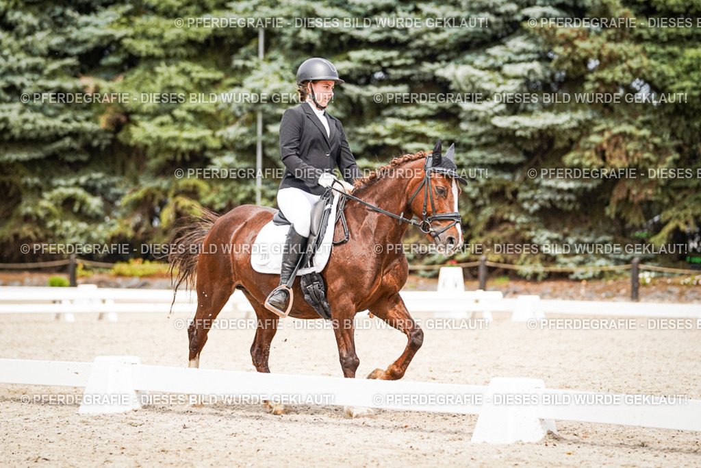 DSC04462 | Pferdegrafie