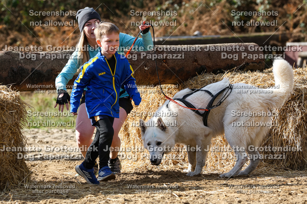 Dog Paparazzi - Strongdog 10-25-5621 | Dog Paparazzi Jeanette Grottendiek Fotografie & Videografie - Realisiert mit Pictrs.com