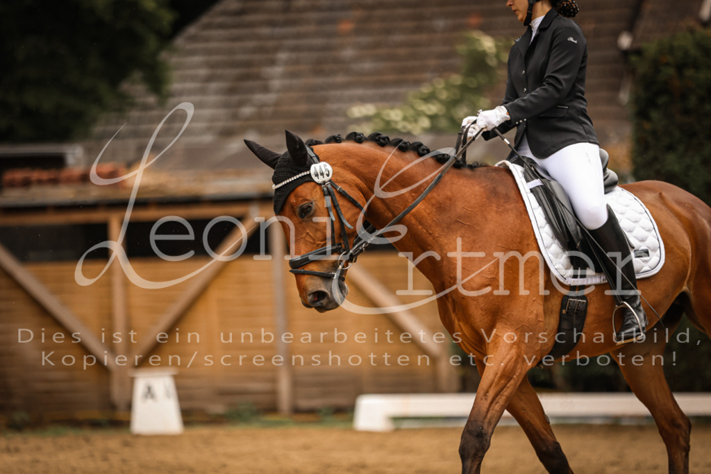 DoDrA00220 | Leoni Ertmer Photography - Realisiert mit Pictrs.com