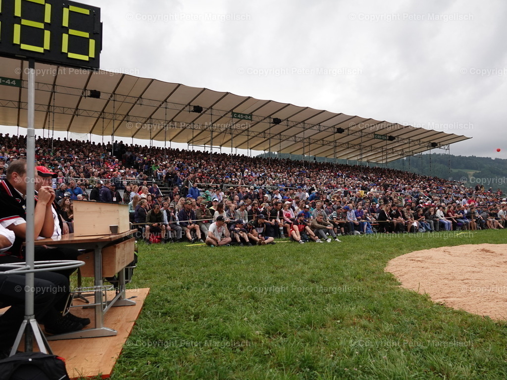 DSC04826 | Schwingen - Realisiert mit Pictrs.com