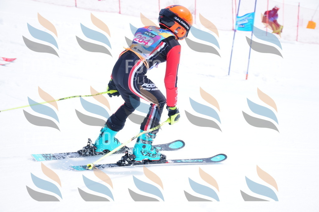 DSC_6359 | holidayphoto